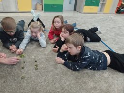 prvnaci na dripatce v prachaticich 9